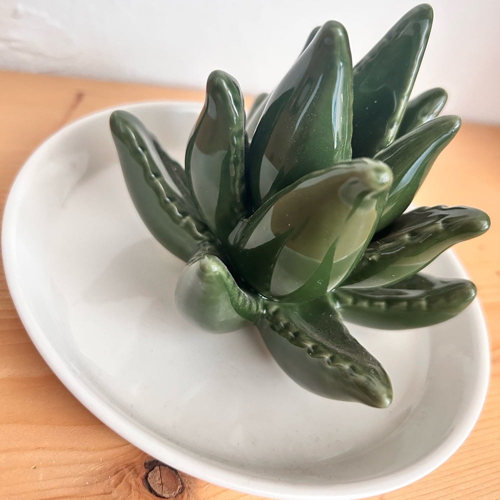 Green Ceramic Succulent Decorative Accent